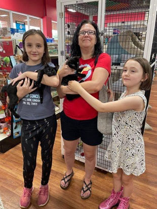 Two kittens held in the arms of their adoptive family.  