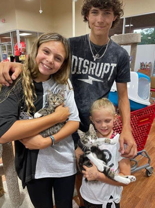 Two kittens beginning a new life with their adoptive family, happy children and happy kittens.