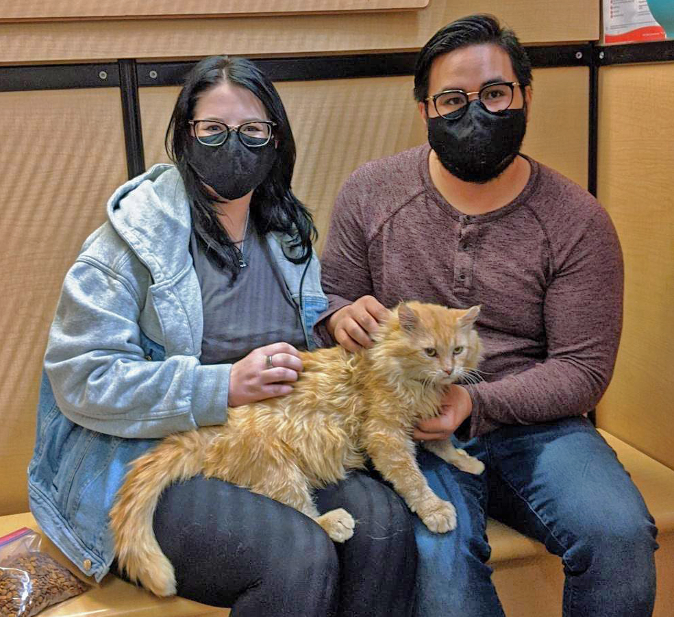 Cat with pet parents