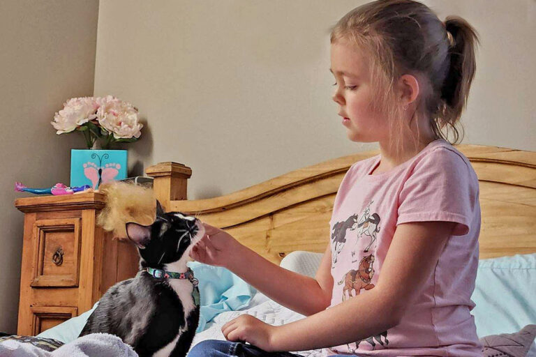 Little girl and her cat on a bed