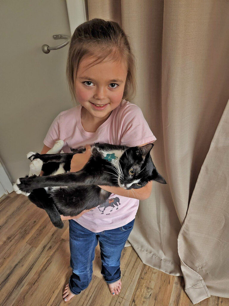 Little girl holding her cat