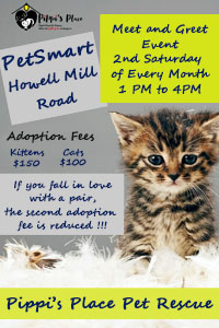 Howell Mill Adoption Event