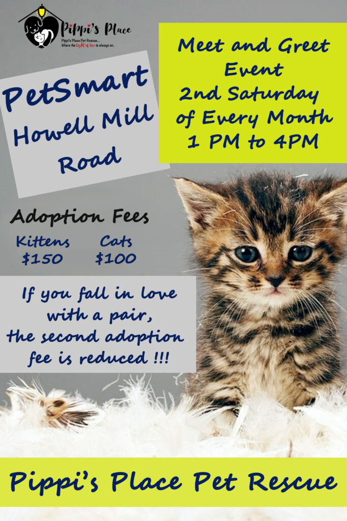 Howell Mill adoption event