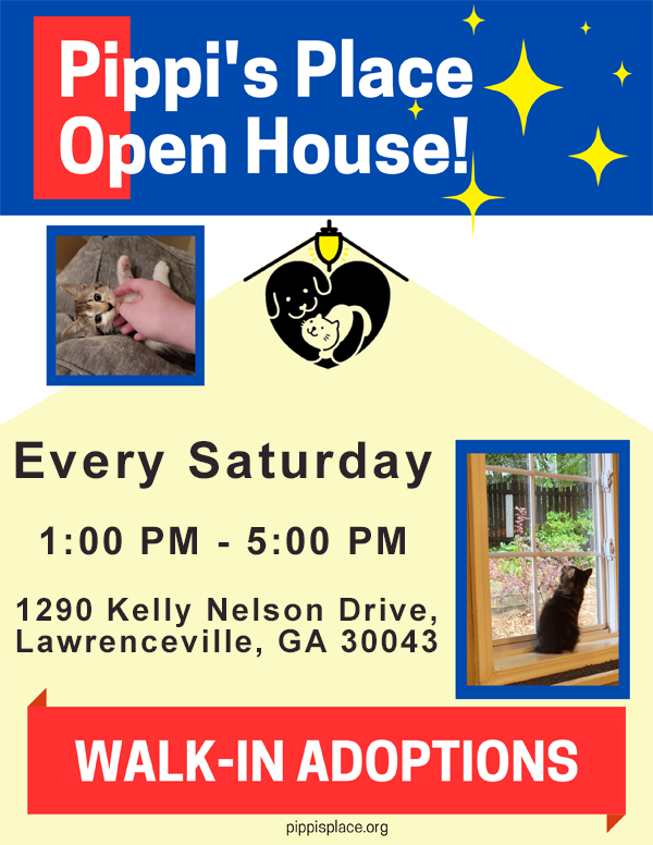 PIPPIS-PLACE-OPEN-HOUSE-thumb